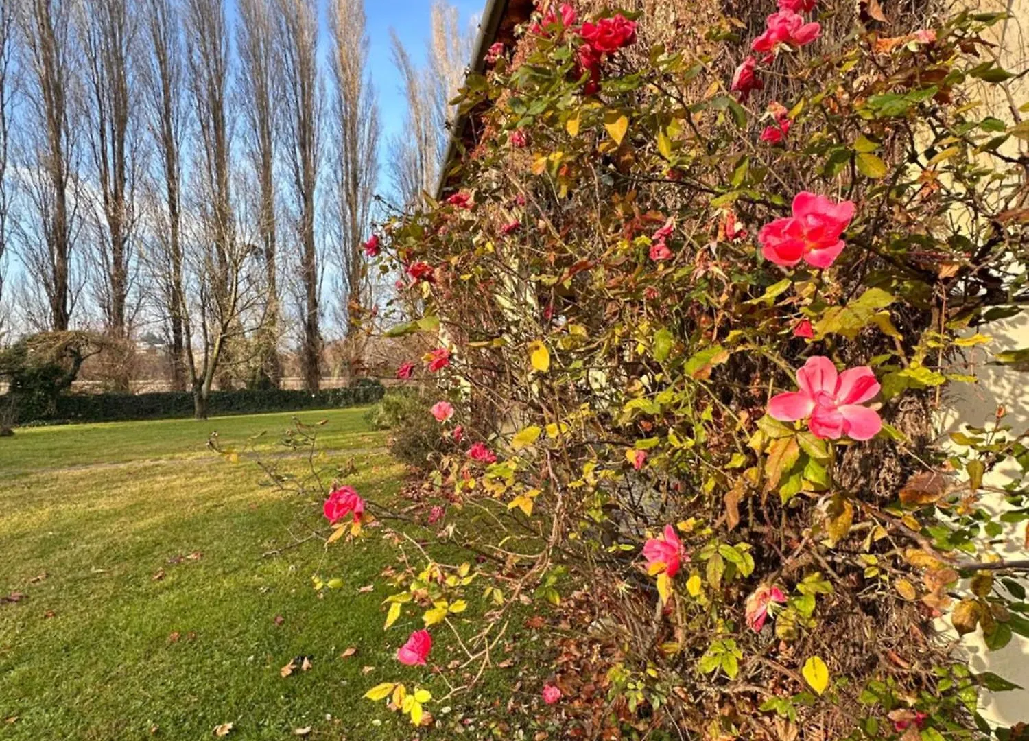 Bed & Breakfast B&B Villa Gradenigo Lancenigo Italia